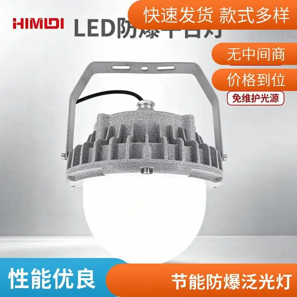 防爆照明灯100W LED防爆投光灯 厂房仓库工程照明