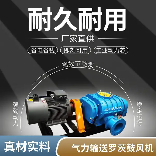 ��ˮ����������ѹ55kw˫�����޴ķ�� ������� ��֮�������ķ��