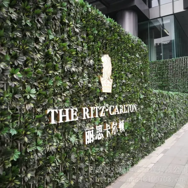 成都仿真植物墙 成都墙面绿化 仿真绿植墙 假植物墙 成都垂直绿化墙生产 可开票包安装
