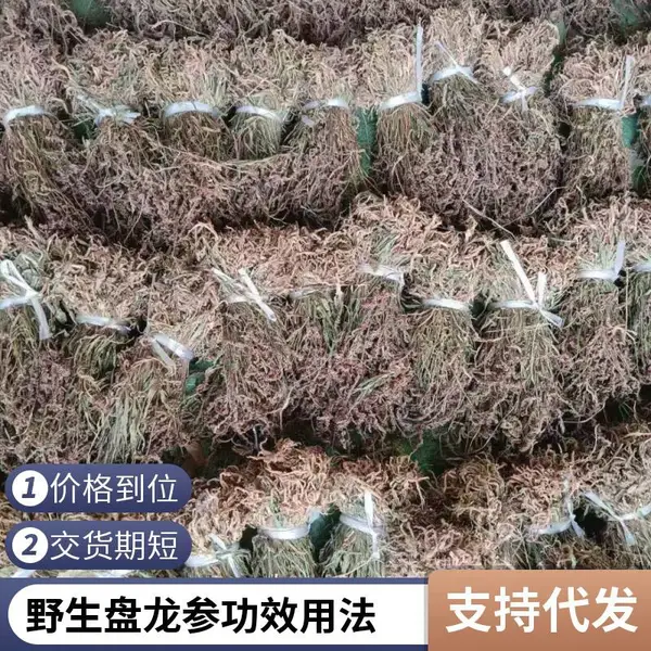奇弘堂野生盘龙参 原药材袋装 出售药用正品 产地批发