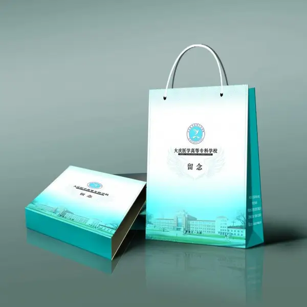 化妆品纸质手提袋定制服装购物纸袋定做礼品广告包装印刷LOGO