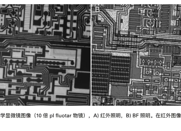 杭州3D超景深金相显微镜报价 欢迎咨询 茂鑫供