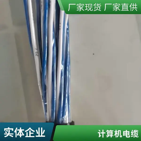 计算机信号电缆销售 计算机信号电缆生产厂家 DJYPVP-2*2*1.0