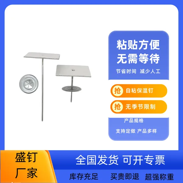 盛钉工厂供应 ***自粘保温钉 高承压 耐寒性能优承载力高强
