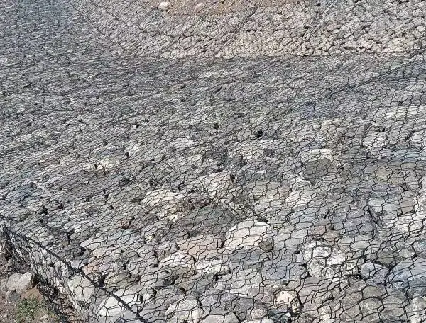 固滨笼生产厂家A固滨笼一站式制造厂家
