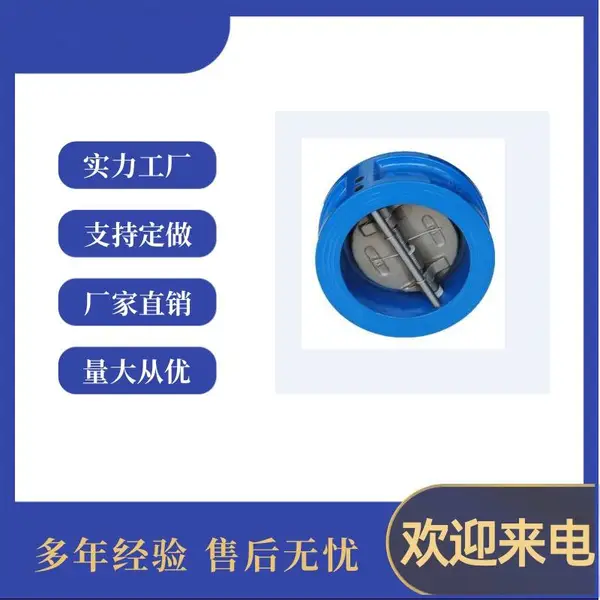 �ϸ߷��� ���ζԼ�ʽֹ�ط� ̼�����ܷ�ֹ�� �� H76H DN100