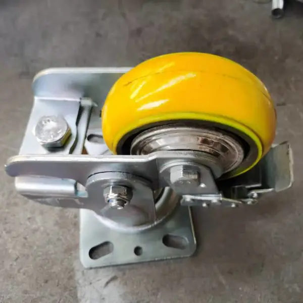 ���ɼ����� ��п��֧�� �������� ��ɭƷ��