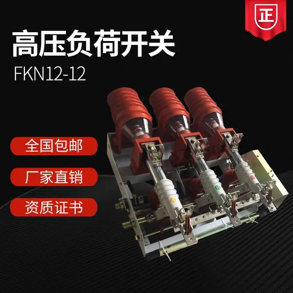 FKN12-12R��ǽ���ڸ�ѹ���ɿ��� FKRN12-12RDѹ�����ڹ��ڵ��10KV