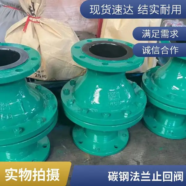 H44J-16C DN40水处理系统 铸钢法兰旋启式衬胶止回阀