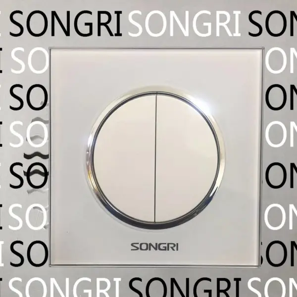 SONGRI 二开单双控开关250V 16A 出口CE认证双联开关按钮松日墙壁开关插座