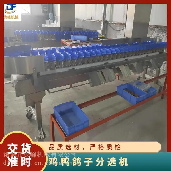 鸡鸭线产品分级设备 重量分选机 挑级流水线自动