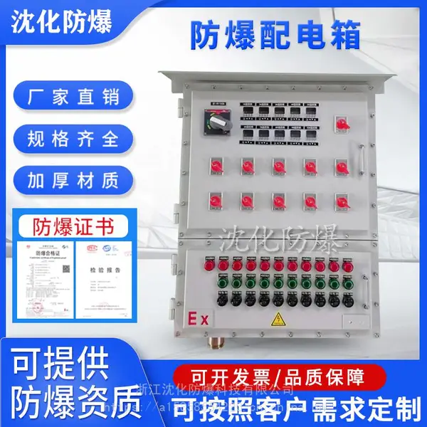 来图定制防爆照明动力配电箱 PLC变频器控制柜 检修电源插座箱