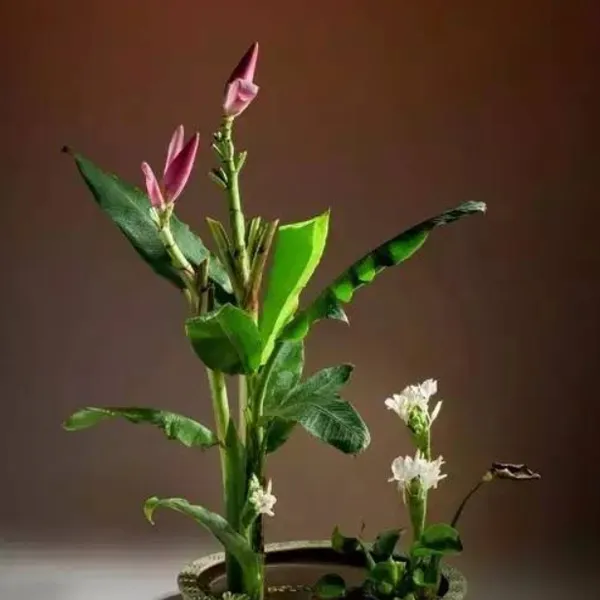上海民宿设计定制 插花 花器材质 51A设计机构