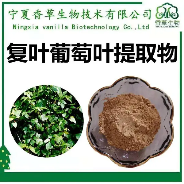 复叶葡萄叶提取物 10:1 浸膏 复叶葡萄叶速溶粉 浓缩液