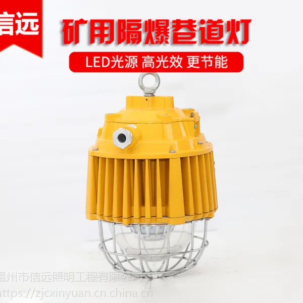 信远照明矿用隔爆型LED巷道灯DGS36(48)128L(A)矿用防爆LED巷道灯