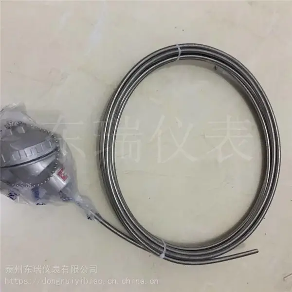 耐高温抗震动环境专用S型铂铑热电偶WRPK-131