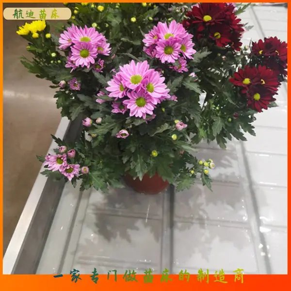 智能温室潮汐苗床 蔬菜种植潮汐移动苗床 省水省肥