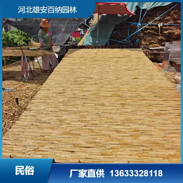 供应 盖房箔 芦苇箔 装饰苇箔 屋顶铺设 民俗装修 在网店买不到的芦苇箔
