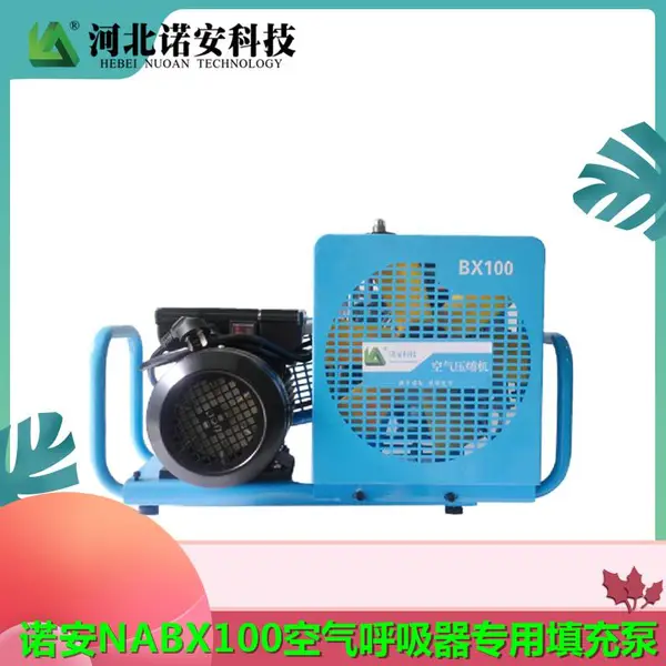 �ӱ�ŵ���Ƽ� NABX100 ��ѹ����30mpa ��������������