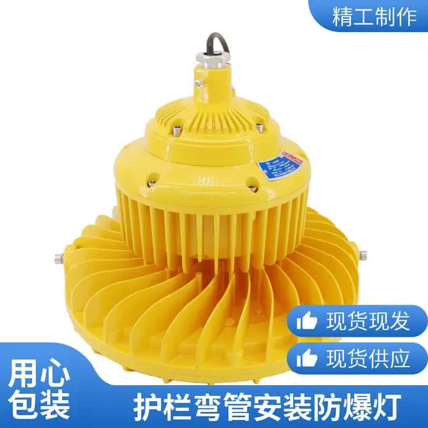 防爆平台灯 Exd IICT6 护栏弯管安装栈道栈桥石油平台 LED 照明灯