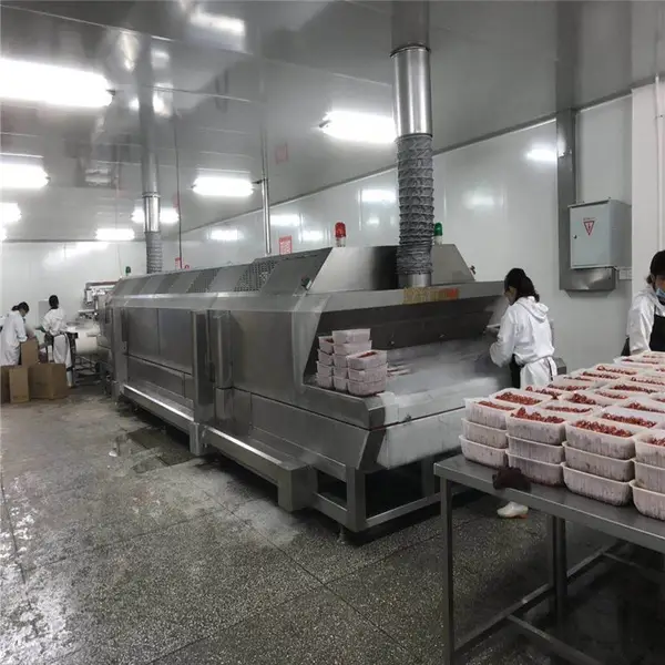 广州极速隧道式液氮速冻机生产厂家