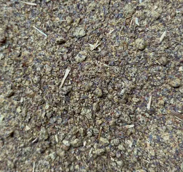 油脂厂生产菜籽粕