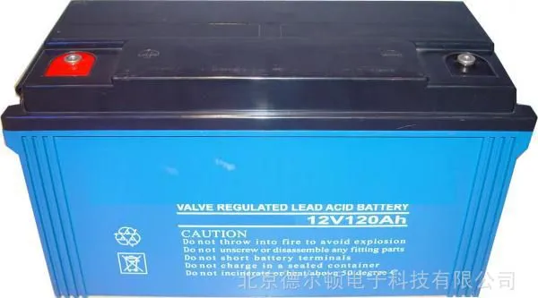 志成***CHAMPION 厂家直销 铅酸免维护蓄电池12V 120Ah NP120-12