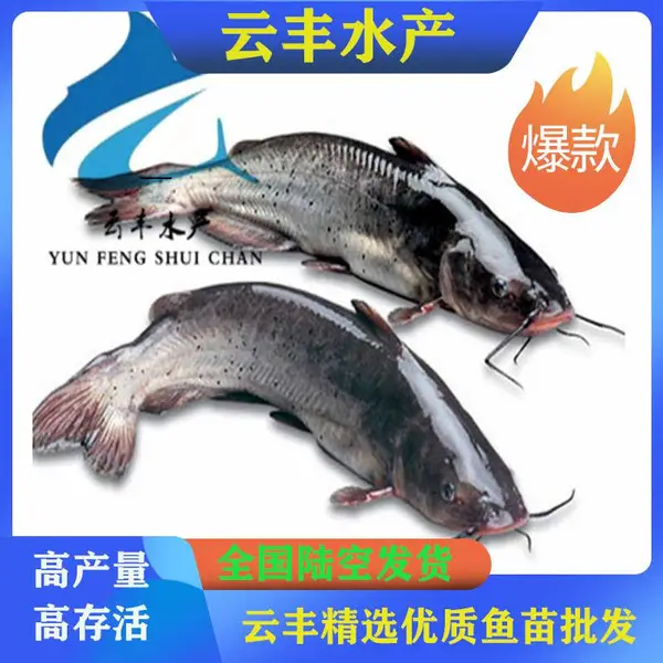 ����ˮ��***��β�t���� �γǹ�Ӧ����***��β���� ��β���������