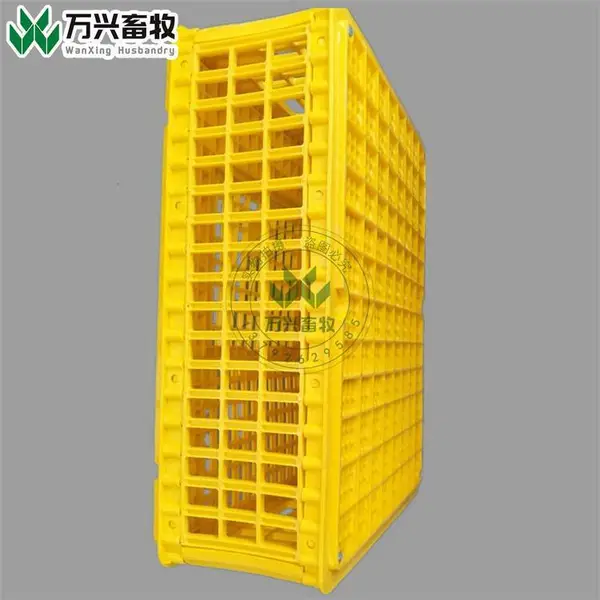 大鸡周转笼 鸡运输箱 青年鸡运输笼