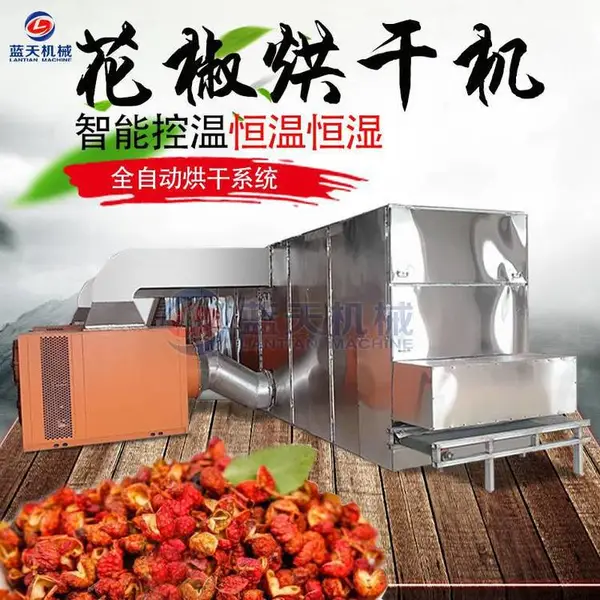 蓝天网带式花椒烘干机 连续带式花椒干燥机 自动化程度高