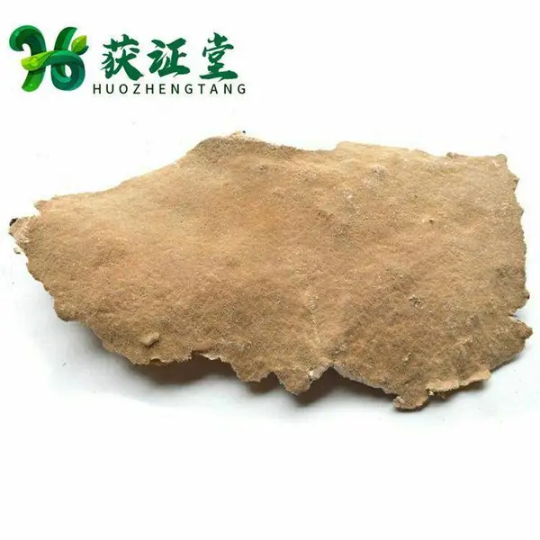 长白山白耙齿菌 耙齿菌供应 灵芝大卖场品种齐全