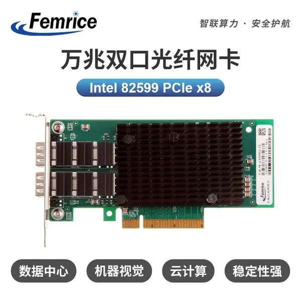 飞迈瑞克(Femrice)FM-JL82599ES-F2以太网万兆双光口网卡