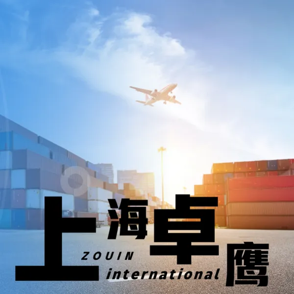 进口染发剂报关代理,一般贸易申报手续,助力顺利通关