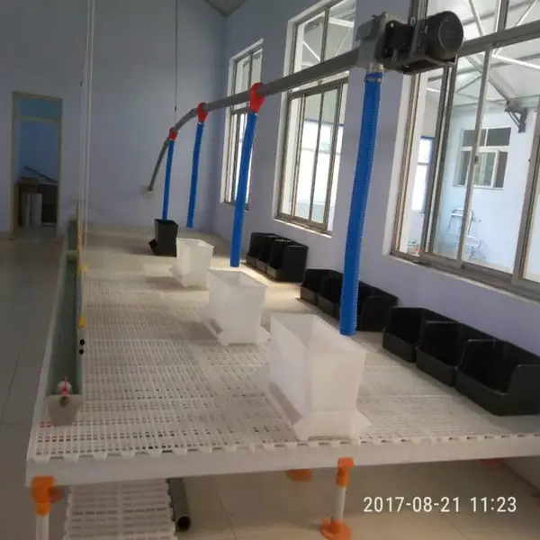 育雏鸡苗鸭苗鹅苗的漏粪地板 pp纯原料专用于育雏的塑料地板