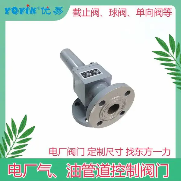 ��ֹ��WJ10F1.6P DN10 ����ʽ �͸������� YOYIK