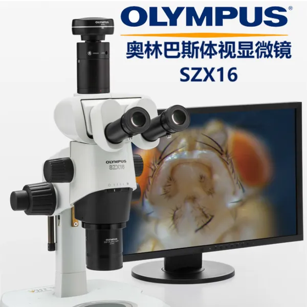 OLYMPUS奥林巴斯SZX16三目体视显微镜原装正品科研级高清