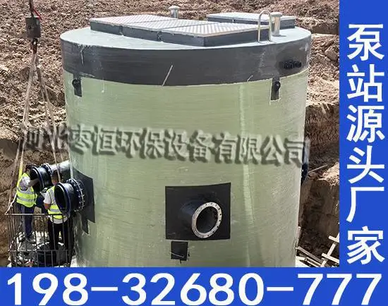 预制一体化泵站 模块化生产 现场吊装一步到位 含安装指导