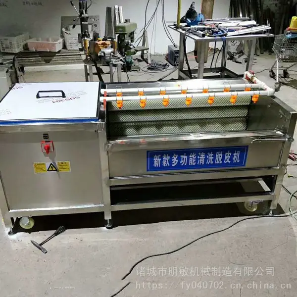 明敏 800型不锈钢萝卜清洗机 萝卜软毛刷清洗机 根茎类蔬菜清洗机