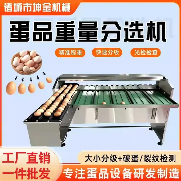 诸城蛋品重量分选机 全自动鸡蛋分级机 诸城蛋品加工设备 禽蛋称重分选设备