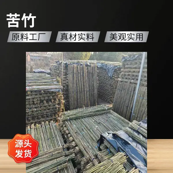 5米苦竹竹竿批发 种菜竹架子 爬藤造景竹杆 架菜竹各种规格 源头基地