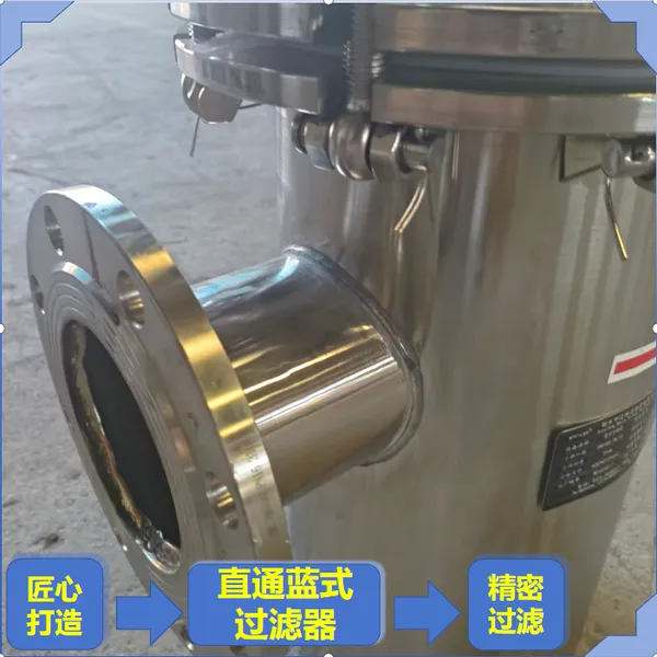 碳钢直通篮式过滤器 DN80法兰 污水处理粗效拦污 悬浮固体集渣