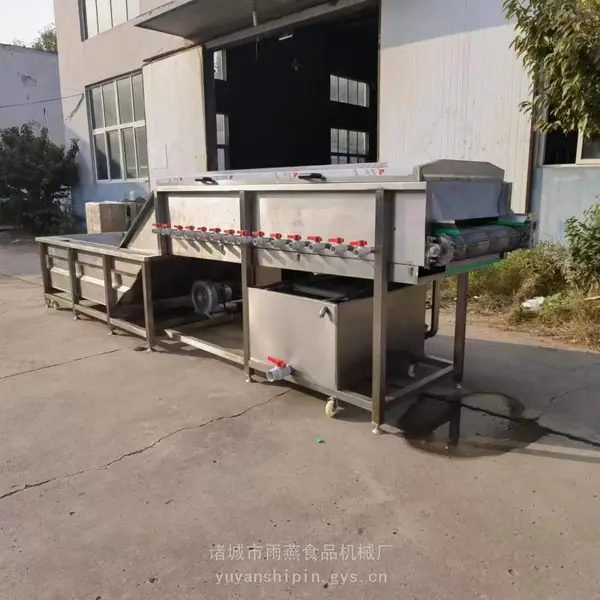 雨燕5000型大姜清洗机 高压喷淋洗姜机 芋头清洗设备