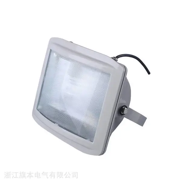 NSC9720-J70W应急壁灯_NSE9720-35W铁路隧道灯_变电站通路灯