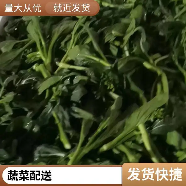 蔬菜配送 大岭山企业饭堂承包托管公司 专注食堂外包多年