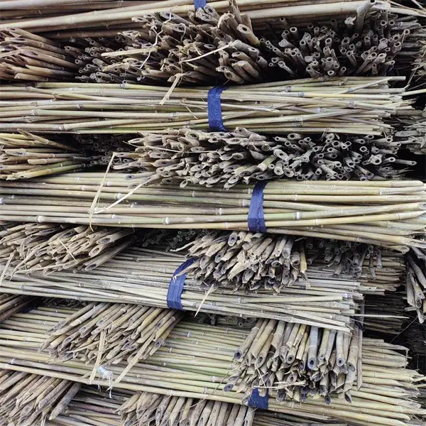 蔬菜架杆 竹竿 菜园搭架 1.5米 粗1.2厘米 小株型支撑