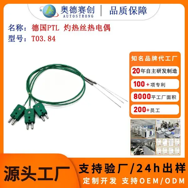 德国 PTL T03.84 灼热丝热电偶 K 型铠装试验仪专用测温探头