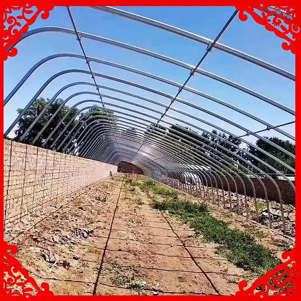 ��ɽ�ȶ�п�߲˴���ɹ��ͨ��ñ��º�_���ʵ����ﳧ