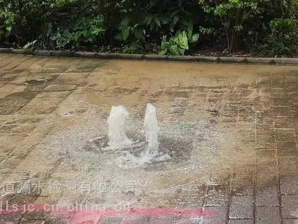深圳消防管异常排查检漏,供水管网破损探漏定位服务电话
