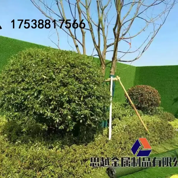 ���ش����ٽ�������Χ����ʽ�巿��������
