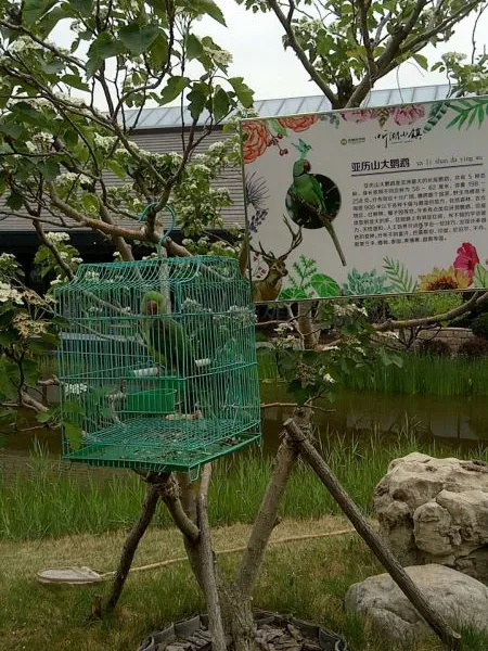 ��Ӧ�������չ�����ޱ���